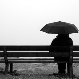 What I Lost In The Fire