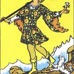 Look Before You Leap